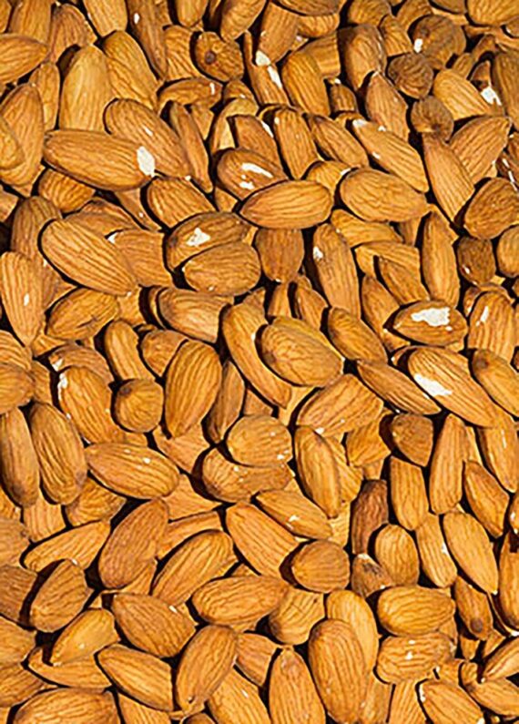 Pesticide Free Natural Almonds Chipped & Broken 12.5kg Carton