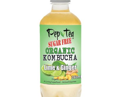 Organic Kombucha Tea - Lime & Ginger - SUGAR FREE Drinks - 12 Pack
